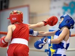 Сборная России по боксу одержала победу на первенстве Европы, проходившем в Анапе