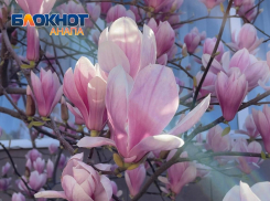 Дисгармония у Овнов и благоприятный период у Рыб: гороскоп для анапчан на неделю