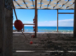 Чем болеет Чёрное море и что плавает в анапской воде кроме рыб