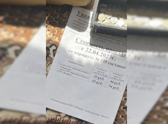Повышения цен на проезд в маршрутках Анапы не будет – пока