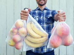 Анапчане могут принять участие в обучении от Гринписа