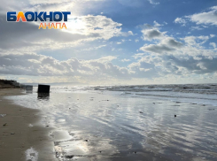 В день художника в Анапе солнечно