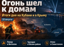 Огонь шел к домам, в Ейском районе погибли люди, в Севастополе атакован автобус: итоги 22 августа на Кубани и в Крыму