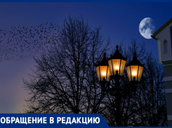 Марина Касьянова предлагает установить фонари в районе парка «Джунгли» в Анапе