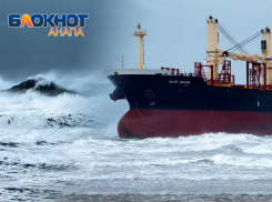 Год спустя: как шторм выбросил Blue Shark на берег Витязево