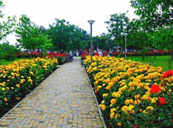 А в Анапе ещё один субботник: чистим Ореховую рощу!