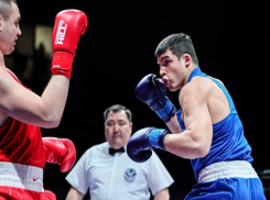 Анапчанин выйдет на бой в профессиональном турнире в рамках «БЕТСИТИ.IBA.PRO 17»