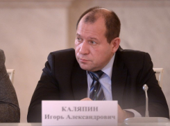 По уголовному делу в Анапе высказался глава комитета против пыток Игорь Каляпин