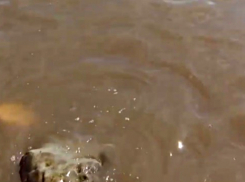 В районе «300 ступеней» прорвало трубу очистных сооружений – ответ администрации на ситуацию в акватории