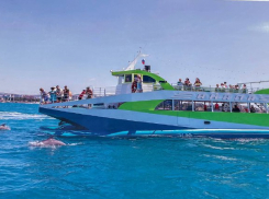 Незабываемый день в море: расписание морских прогулок в Анапе