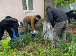 Анапа принимает участие в большом общероссийском субботнике