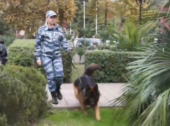 Флешмоб ко Дню матери от анапских женщин-полицейских