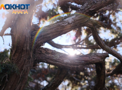 В Анапе прогнозируют магнитные бури из-за самой сильной солнечной вспышки 