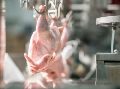 В Анапе могут стабилизироваться цены на продукцию птицеводства