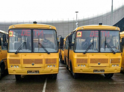 Губернатор объяснил, что новыми школьными автобусами Анапа обязана президенту 