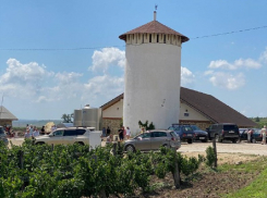 В «Винной деревне» под Анапой сегодня пройдёт праздник урожая
