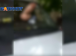 Резиновым фаллосом наказывают анапских нарушителей парковки