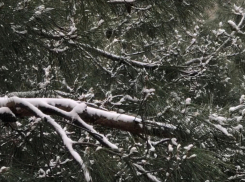 В день памяти А.С.Пушкина в Анапе станет немного теплее