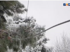 Экстренное предупреждение! Ожидается налипание мокрого снега на проводах и деревьях 