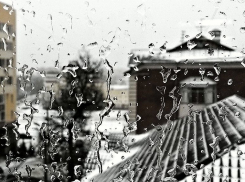 29 декабря в Анапе дождь