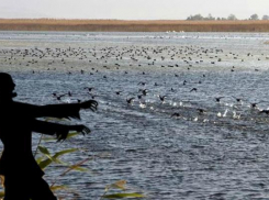 С озером Чембурка под Анапой связана легенда о зомби 