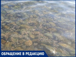 «Какие-то сгустки и мертвые медузы» – анапчанка просит провести анализ морской воды у Высокого берега