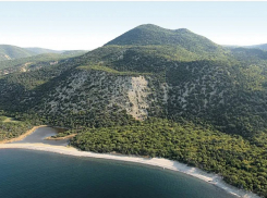 Частник захватил участок леса в Большом Утрише и построил деревянные объекты