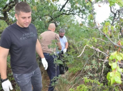 Анапские волонтёры убрали мусор с территории заказника «Большой Утриш»