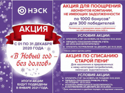 АО «НЭСК» напоминает: потреблённая электроэнергия должна быть оплачена