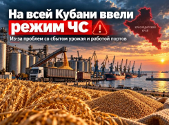 На всей Кубани ввели режим ЧС из-за проблем со сбытом урожая и работой портов