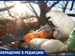 «То дохлых свиней выкинут - то собак»: анапчанка о несанкционированной свалке под Анапой