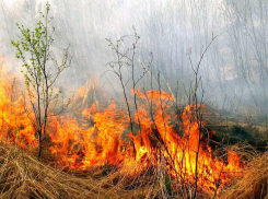 У анапских пожарных выдалась жаркая неделя: за 5 дней сгорело почти 2000 кв.м. травы