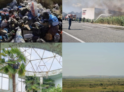 Полив деревьев стал предметом судебной тяжбы, а пляжу грозит экологическая катастрофа: что произошло в Анапе за неделю