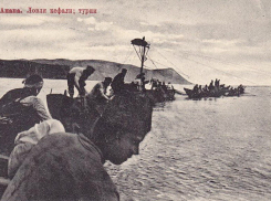 Забытое наследие: о рыболовном промысле в дореволюционной Анапе