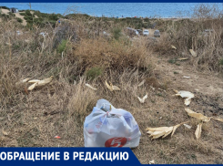 Пляж Благовещенской в мусорном плену: туристы бьют тревогу