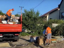 Вместо свалки в Анапе появится цветочная клумба