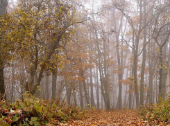 Сезон охоты для охотников Анапы стартует с ограничениями