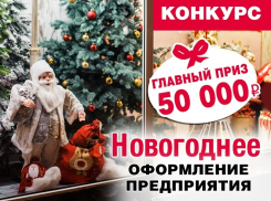 Кто получит приз в 50 тысяч рублей за новогоднее оформление предприятия в Анапе?
