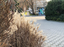 Международный день очкарика в Анапе начнётся с дождя