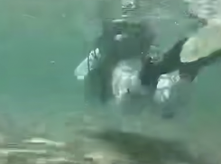 Искали мазут: что обнаружили дайверы на дне моря у Анапы