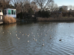 В День образования Следственного комитета РФ в Анапе пасмурно