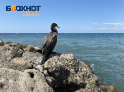 Малооблочно: погода в Анапе на 12 августа