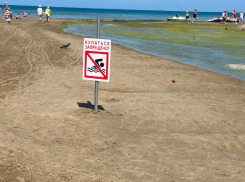 «Опасно для здоровья» – почему нельзя купаться в реке Анапке