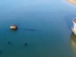 Водолазы за сутки вручную собрали и подняли на поверхность 1 350 килограммов нефтепродуктов
