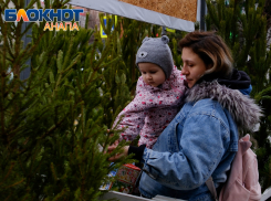 Хвойный шоппинг: как выбрать качественную и недорогую новогоднюю ель в Анапе