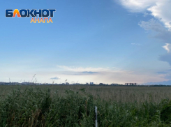 В День физкультурника в Анапе ясно и очень тепло