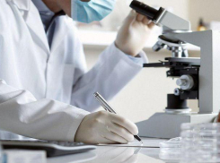 На 24 мая в крае выявили 92 новых случая COVID-19. В Анапе - 0