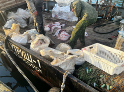 Операция «Путина» в Анапе прошла без нарушений по обороту рыбной продукции