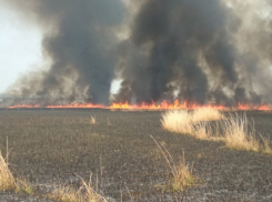 Стали известны подробности пожара на плавнях в станице Анапской