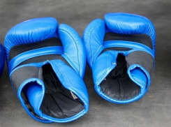 Известный боец Александр Емельяненко примет участие в турнире по боксу в Анапе